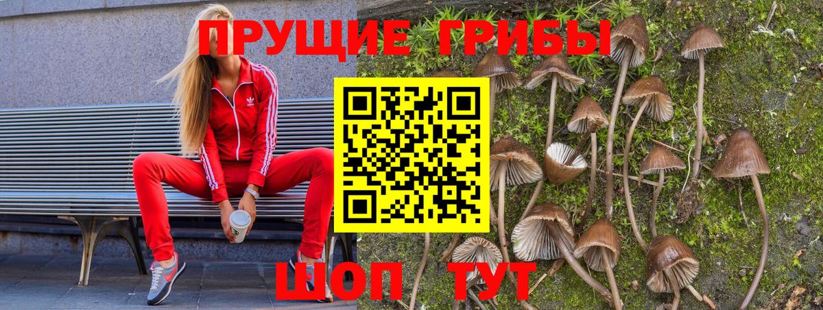 Галлюциногенные грибы MAGIC MUSHROOMS Череповец